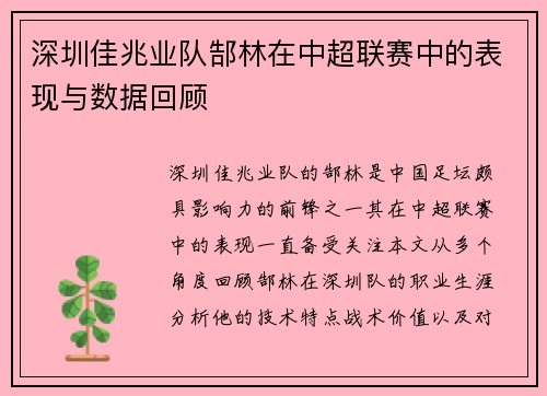 深圳佳兆业队郜林在中超联赛中的表现与数据回顾